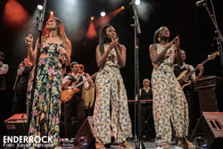 Concert de The Gramophone Allstars a la sala Barts (Barcelona) 